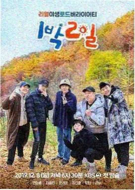 一起去露营 户外综艺在线看